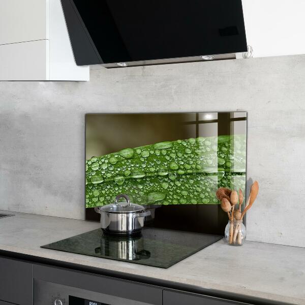 Nástenný panel  Zelený list po daždi