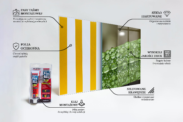 Nástenný panel  Zelený list po daždi