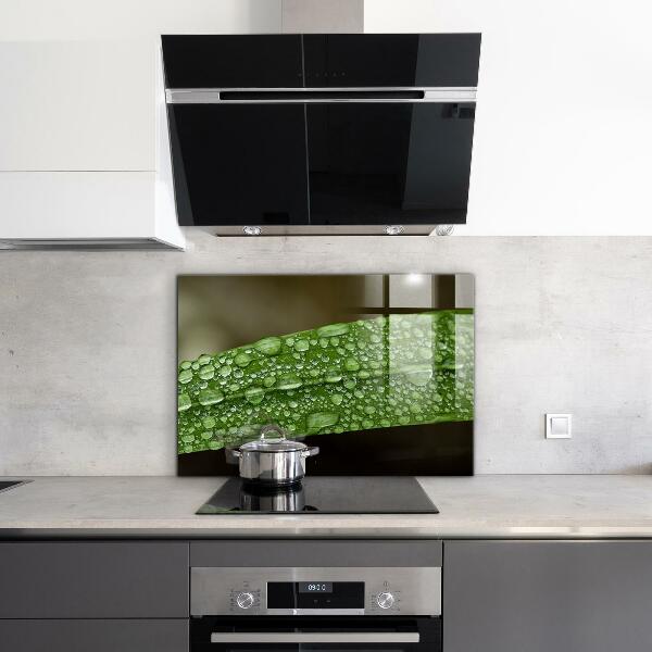 Nástenný panel  Zelený list po daždi