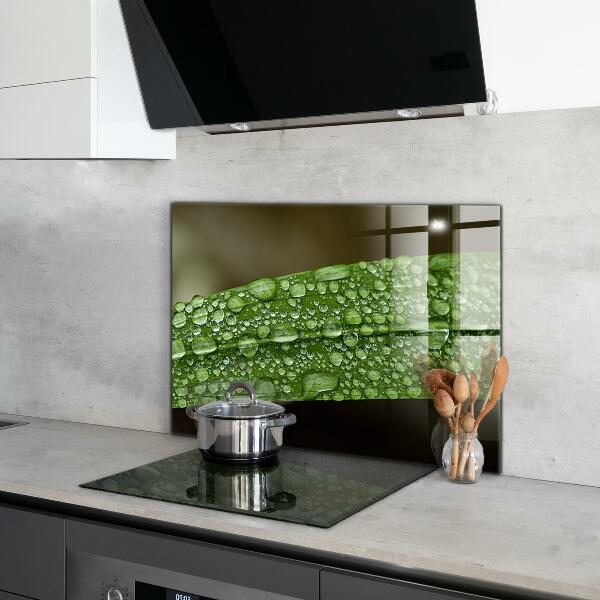 Nástenný panel  Zelený list po daždi