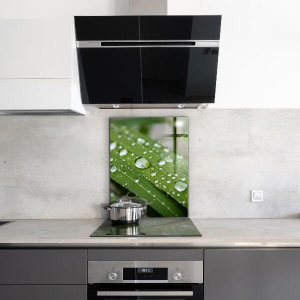 Nástenný panel  Kvapky rosy na tráve