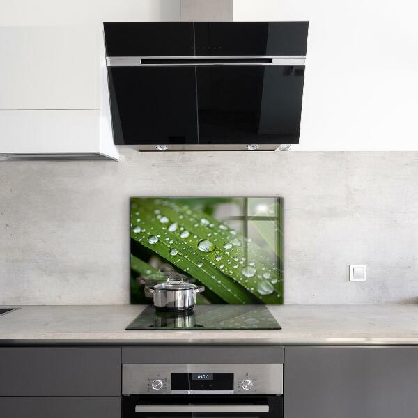 Nástenný panel  Kvapky rosy na tráve