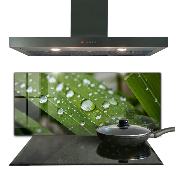 Nástenný panel  Kvapky rosy na tráve