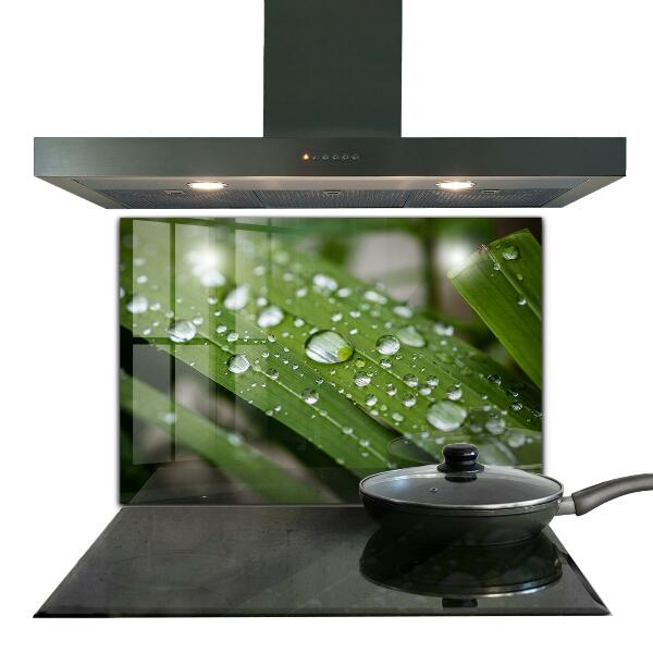 Nástenný panel  Kvapky rosy na tráve