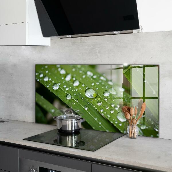 Nástenný panel  Kvapky rosy na tráve