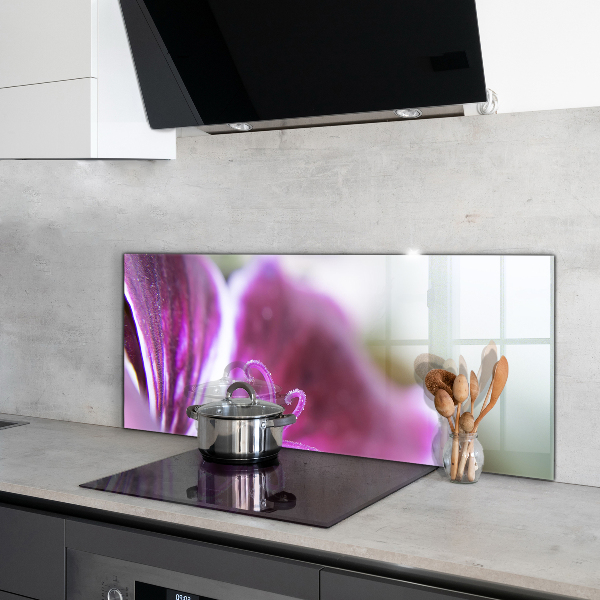 Nástenný panel  Podrobnosti o prírode ružového kvetu