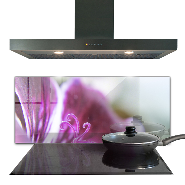 Nástenný panel  Podrobnosti o prírode ružového kvetu