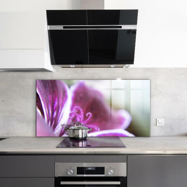 Nástenný panel  Podrobnosti o prírode ružového kvetu