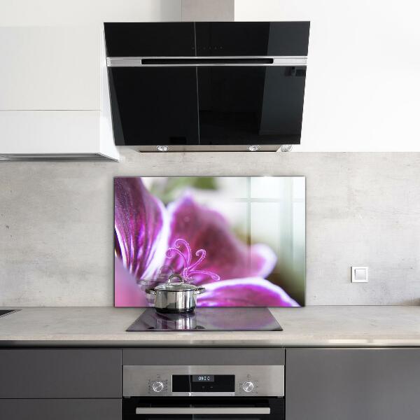 Nástenný panel  Podrobnosti o prírode ružového kvetu