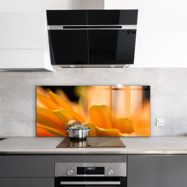 Nástenný panel  Gerber kvet