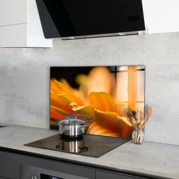 Nástenný panel  Gerber kvet