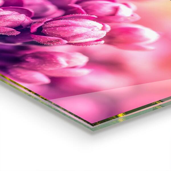 Nástenný panel  Prirodzená krása ružových ľalií