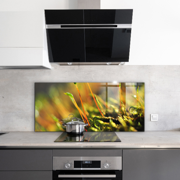 Nástenný panel  Podrobnosti o lesnom machu