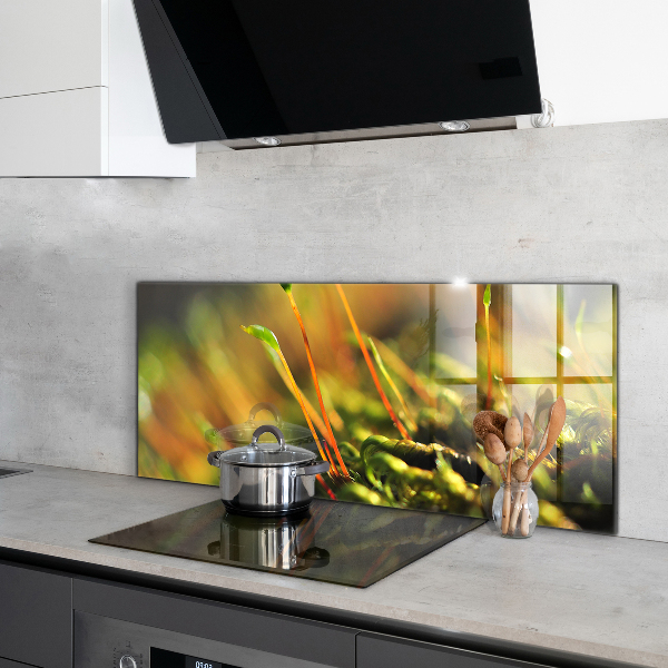 Nástenný panel  Podrobnosti o lesnom machu