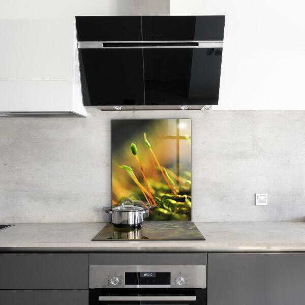 Nástenný panel  Podrobnosti o lesnom machu