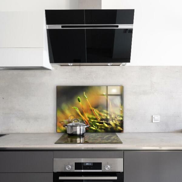 Nástenný panel  Podrobnosti o lesnom machu