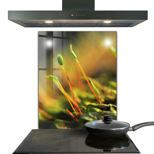 Nástenný panel  Podrobnosti o lesnom machu