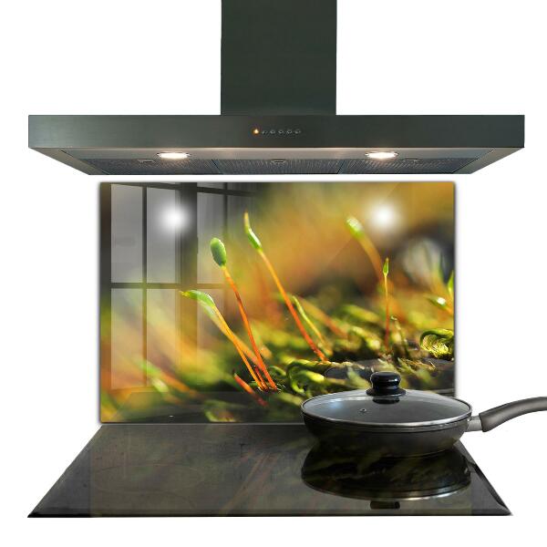 Nástenný panel  Podrobnosti o lesnom machu