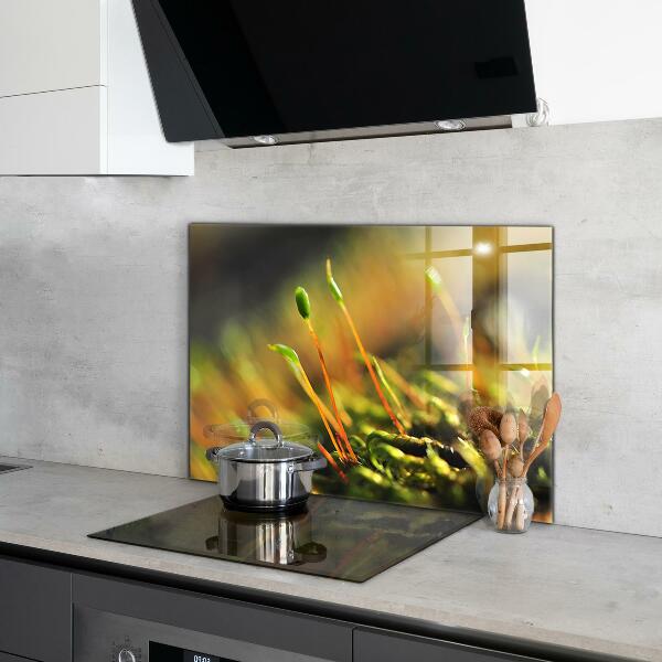 Nástenný panel  Podrobnosti o lesnom machu