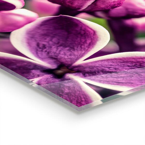 Nástenný panel  Prirodzená krása ružových ľalií