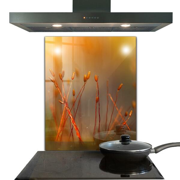 Nástenný panel  Obilné pole pri západe slnka