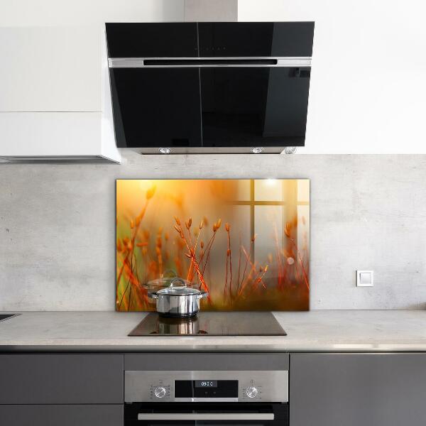 Nástenný panel  Obilné pole pri západe slnka