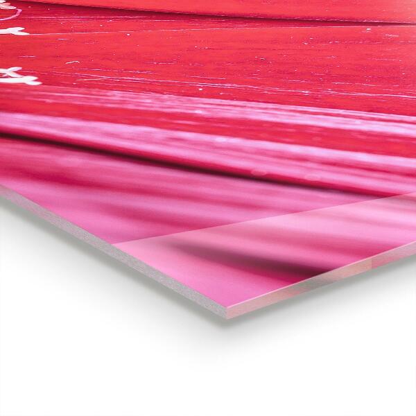 Nástenný panel  Podrobnosti o prírode ružového kvetu