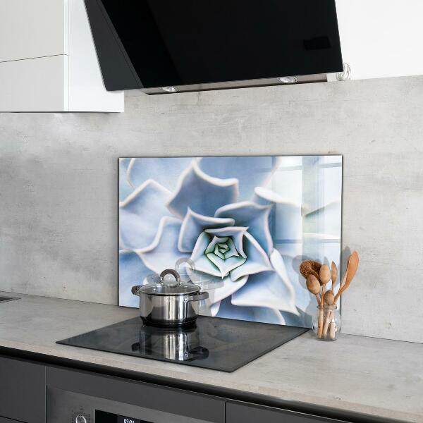 Nástenný panel  Sukulentný kaktus