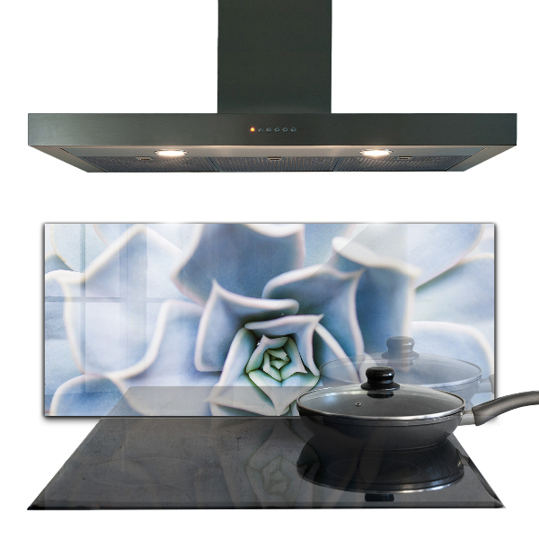 Nástenný panel  Sukulentný kaktus