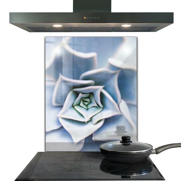 Nástenný panel  Sukulentný kaktus