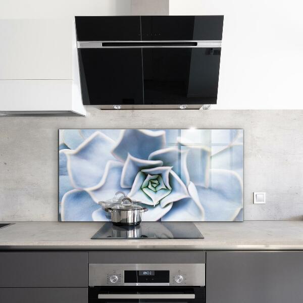 Nástenný panel  Sukulentný kaktus