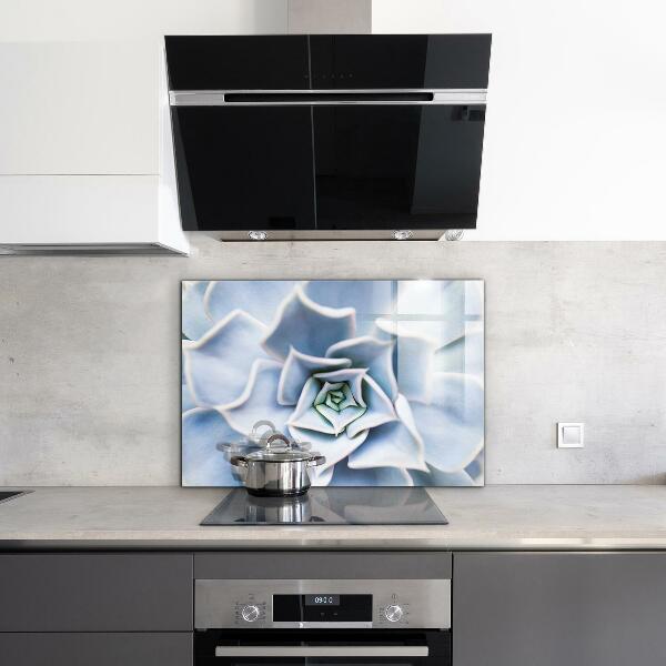 Nástenný panel  Sukulentný kaktus