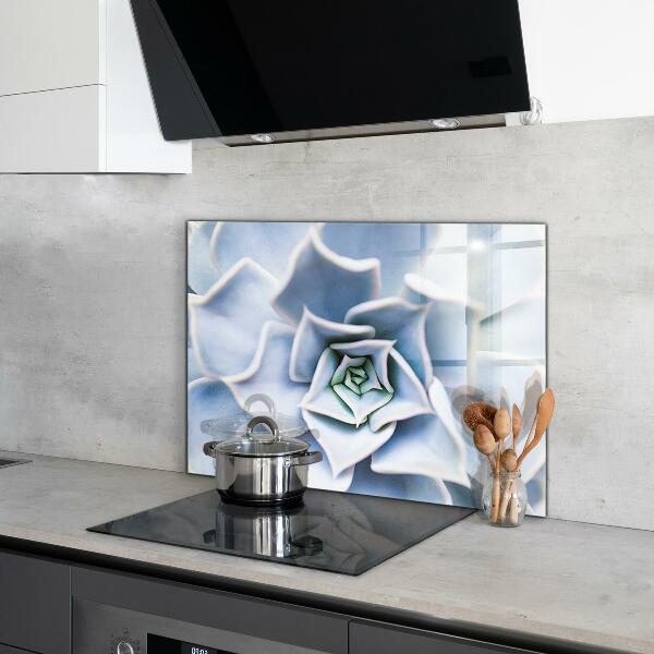 Nástenný panel  Sukulentný kaktus