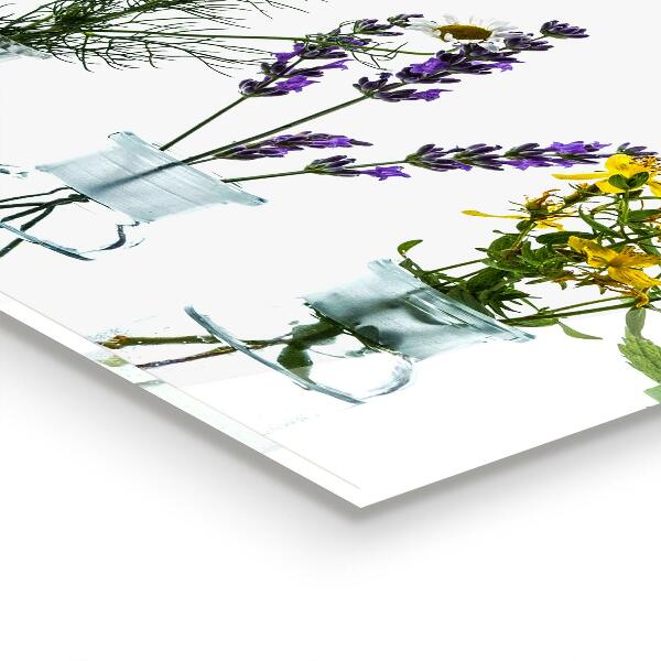 Nástenný panel  Prírodné bylinky pre zdravie