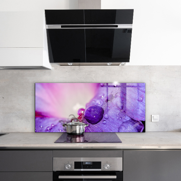 Nástenný panel  Fialový kvet s rannou rosou