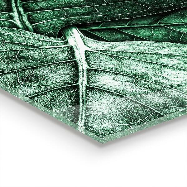 Nástenný panel  Podrobnosti o zelenom liste