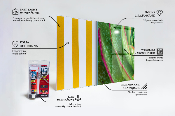 Nástenný panel  Sukulentná zelená záhrada skalník