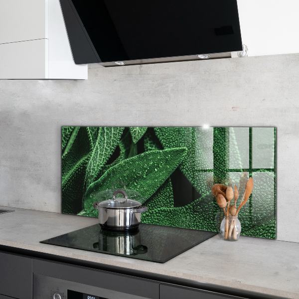 Nástenný panel  Zelené listy po daždi