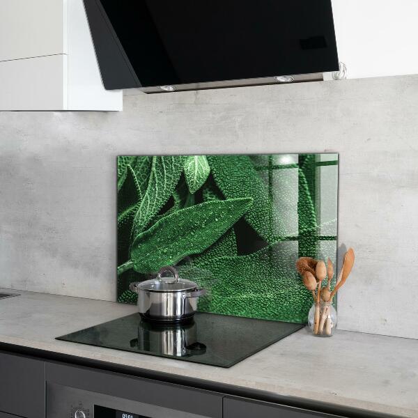 Nástenný panel  Zelené listy po daždi