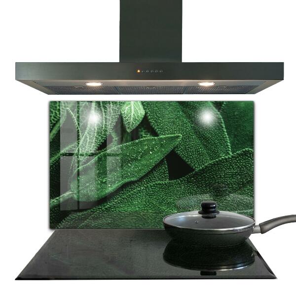 Nástenný panel  Zelené listy po daždi