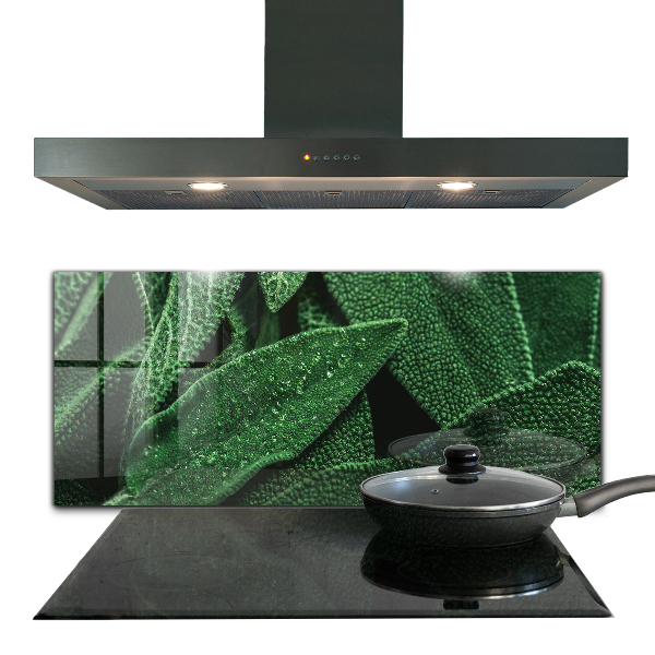 Nástenný panel  Zelené listy po daždi