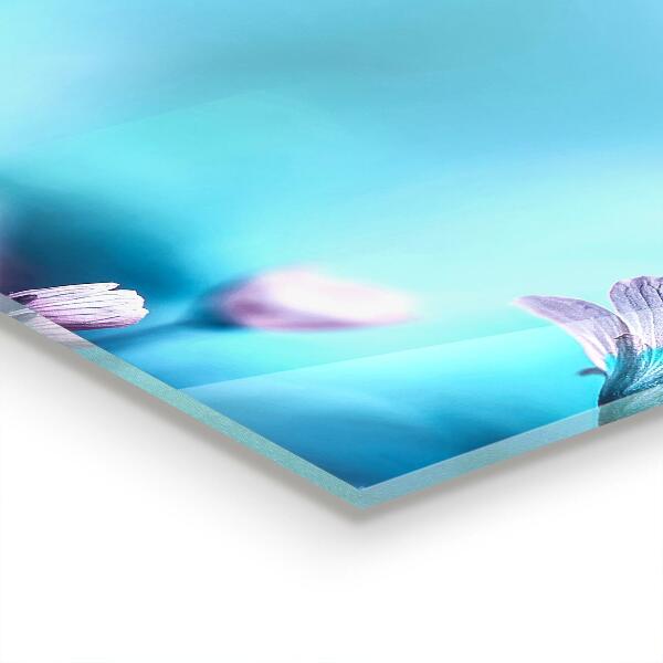 Nástenný panel  Kvety za rannou hmlou