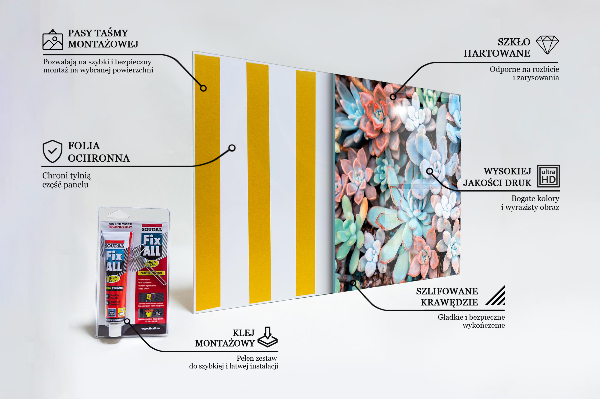 Nástenný panel  Farebné sukulenty