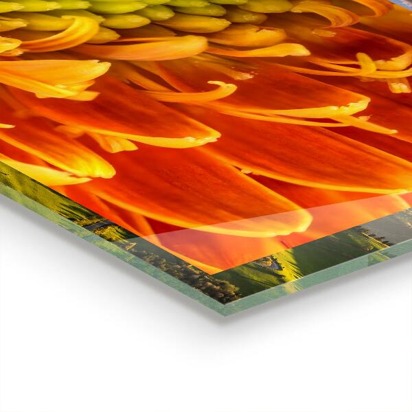 Nástenný panel  Gerbera flower orange