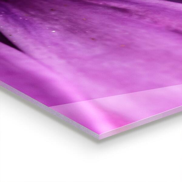 Nástenný panel  Fialový letný kvet