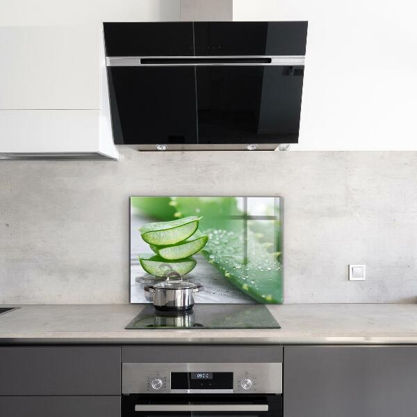 Nástenný panel  Aloe rastlina aloe vera