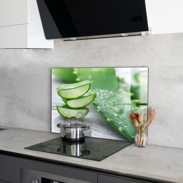 Nástenný panel  Aloe rastlina aloe vera