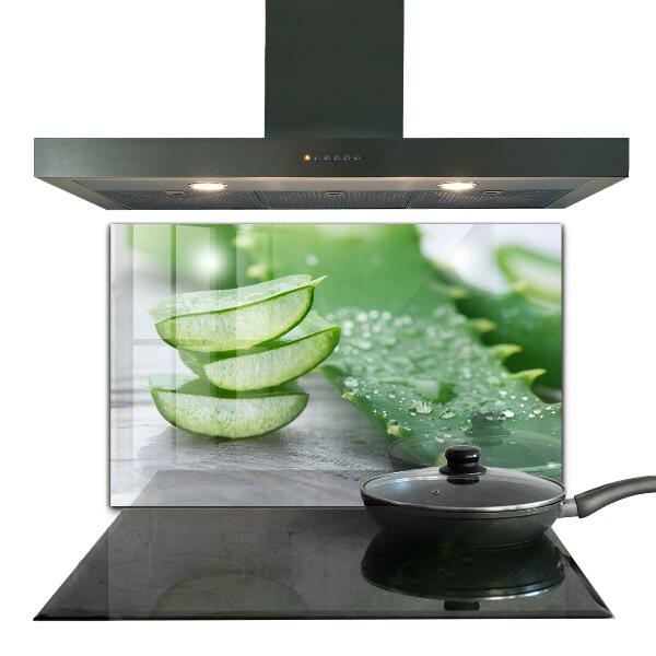 Nástenný panel  Aloe rastlina aloe vera