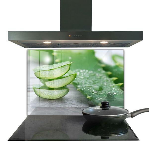 Nástenný panel  Aloe rastlina aloe vera