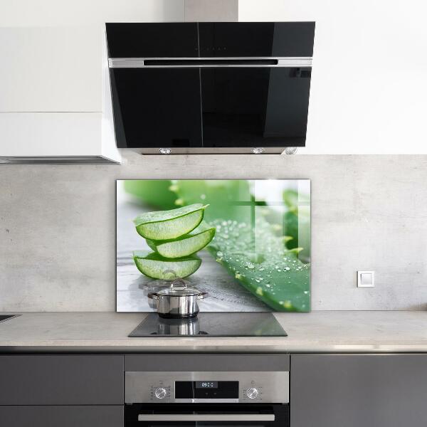 Nástenný panel  Aloe rastlina aloe vera